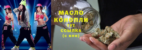 mix Ельня