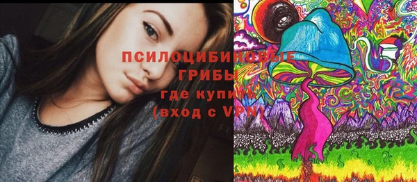 2c-b Елизово
