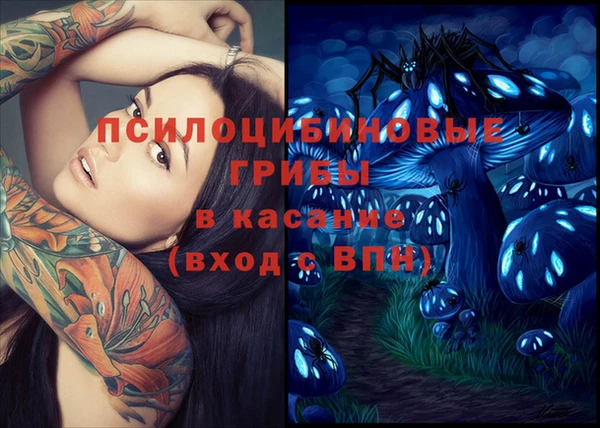 mix Ельня