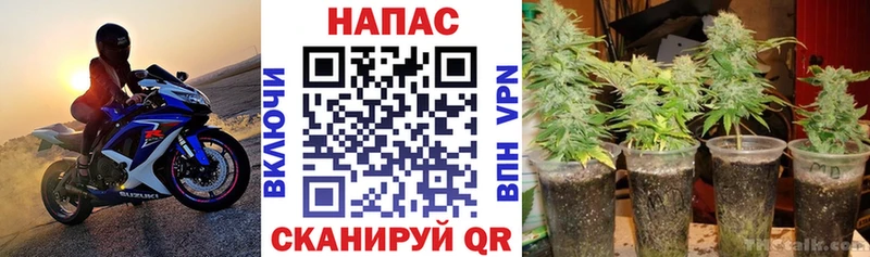 Марихуана Bruce Banner  Купить где  Горячий Ключ 